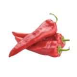 Bell Pepper (Sultan)