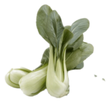 Bokchoy