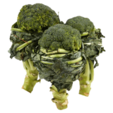 Broccoli (Rolled)