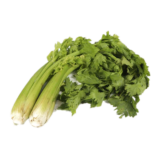 Celery