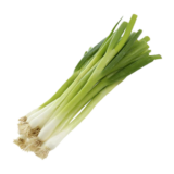 Onion (Leeks)