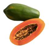 Red Lady Papaya