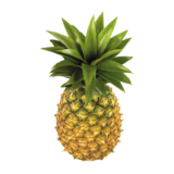 Pineapple (Pinya)