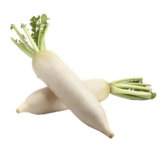 Radish