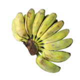 Banana (Saging Saba)