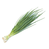 Spring Onion (Lasona)